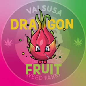Dragon Fruit