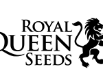 Internet_20250315_180455_74